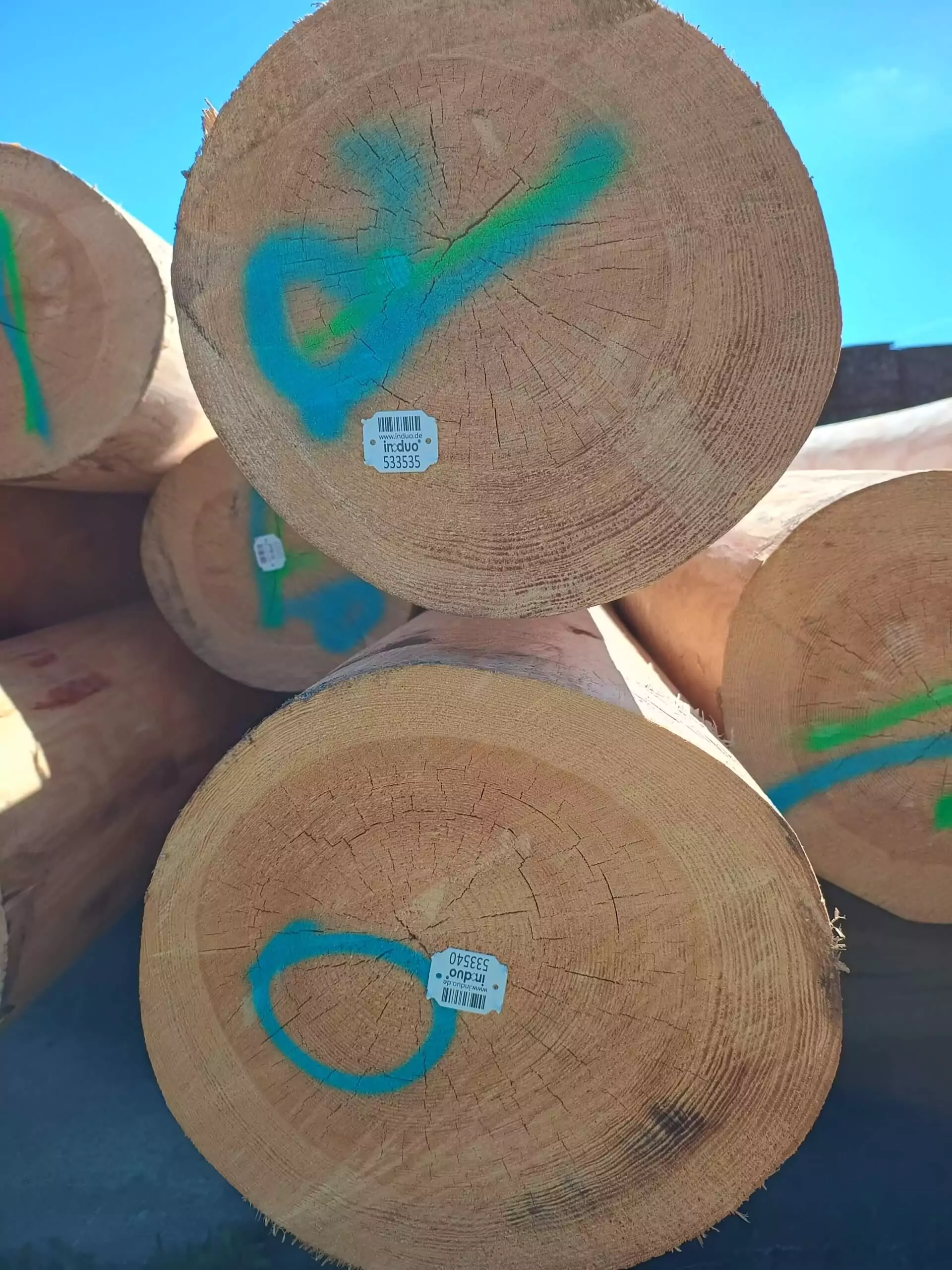 induo® production process - step 5