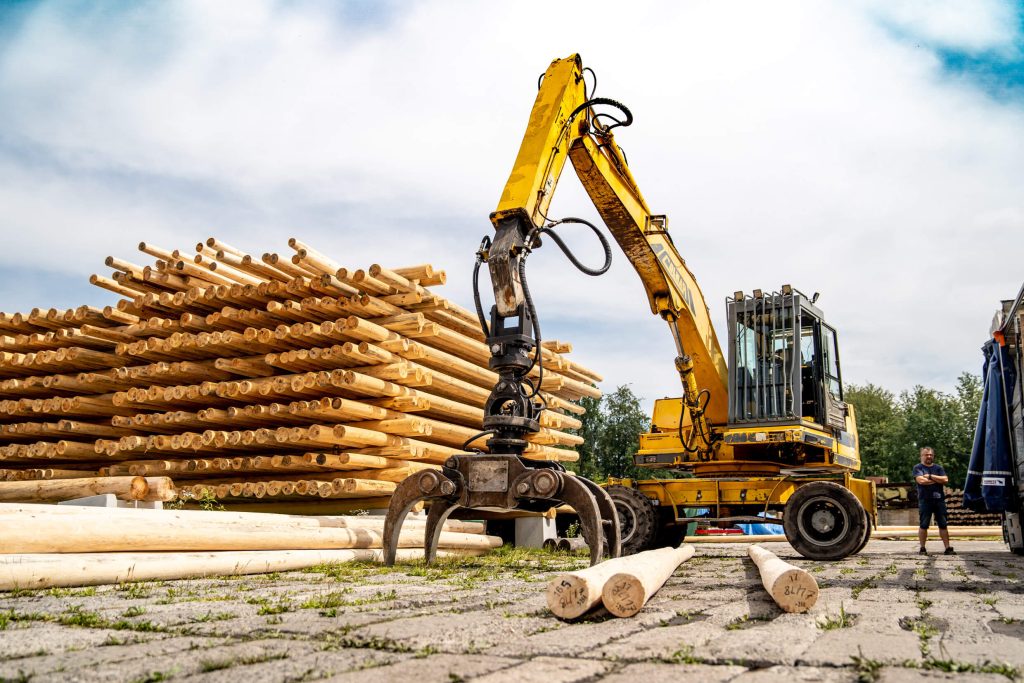 Kiefernholz (Pinus Sylvestris): Der ideale Rohstoff für Masten