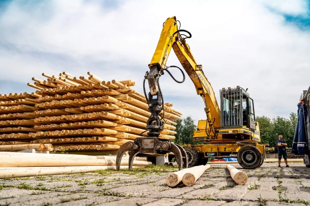 Kiefernholz (Pinus Sylvestris): Der ideale Rohstoff für Masten