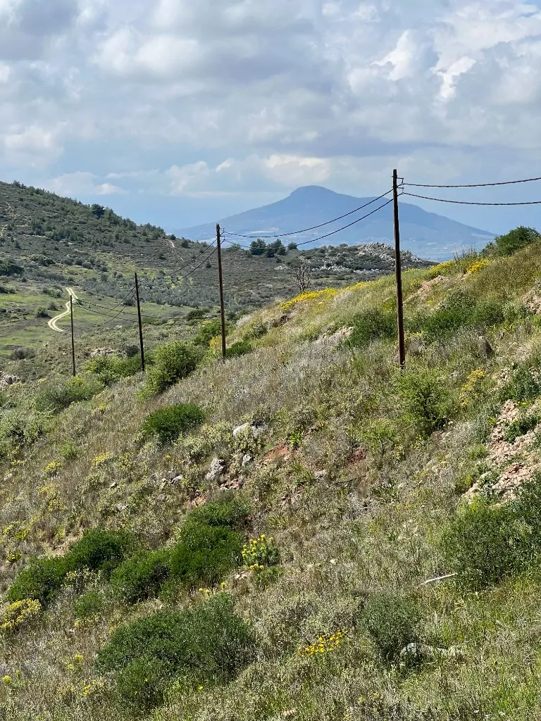 Project photo 2 - OTE Greece