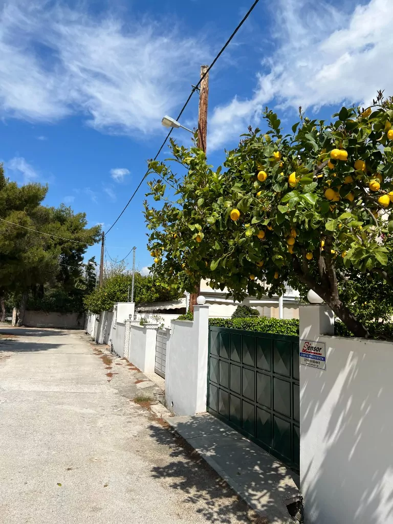 Project photo 3 - OTE Greece