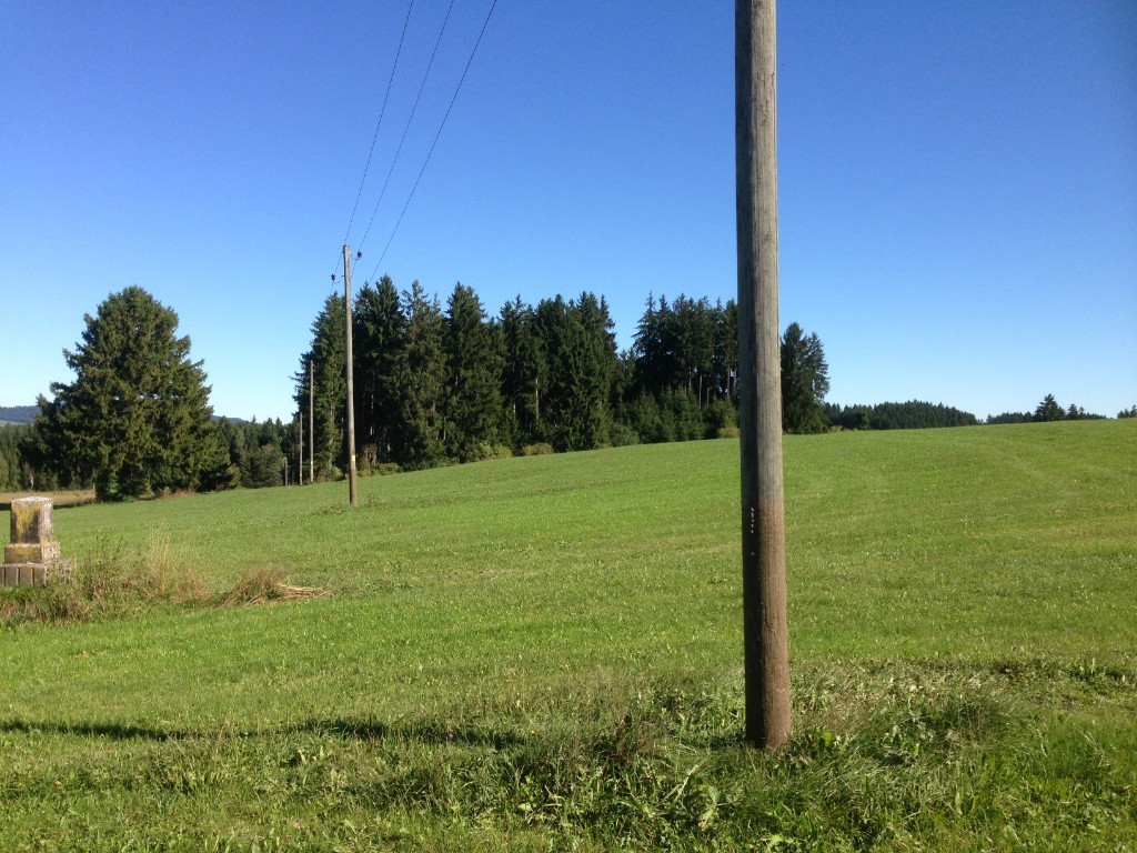 SachsenNetze ألمانيا