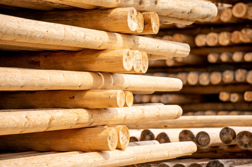 Poteaux en bois rond non imprégnés - induo®
